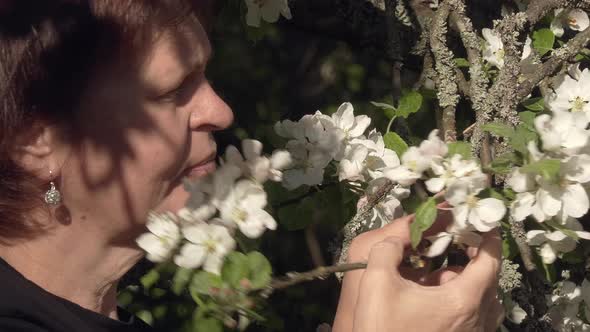 Closeup Shot of a Middleaged Lady Smelling Apple Tree Blossoms