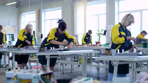 Women Workers in Uniform Collect Lowvoltage and Highvoltage Equipment in the Factory Floor alt
