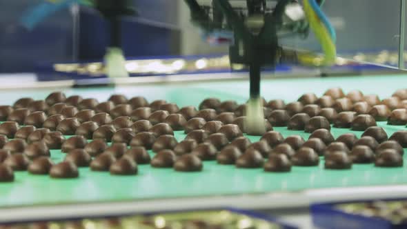 Automatic Sorting of Chocolates on the Conveyor in a Modern Confectionery Shop alt