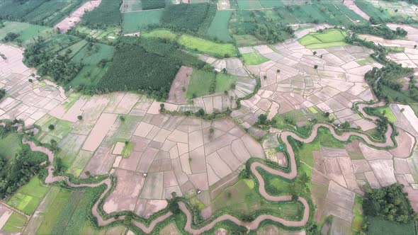 An aerial view of rice fields in North East Thailand with a river running through. alt