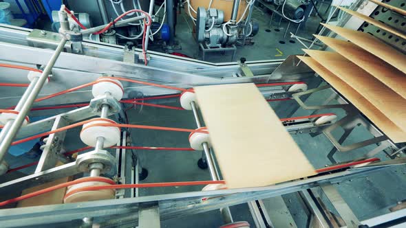 Layers of Waffles are Getting Relocated By a Confectionery Machine alt