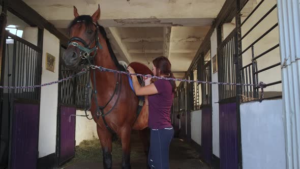 Woman Is Cinching Straps of Saddle on Horse Standing in Stable alt