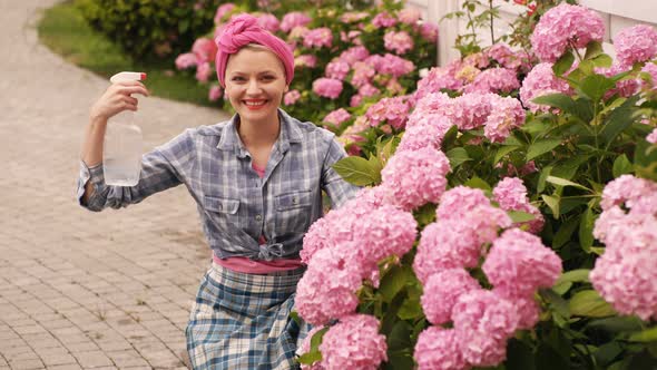Garden Scene with Girl Plants Hydrangeas, Watering Flowers in Garden, Spring Time. Young Woman Is alt