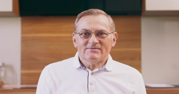 Headshot of Mature Man Sit on Chair Look at Camera Waving Having Video Call on Computer Happy Senior alt