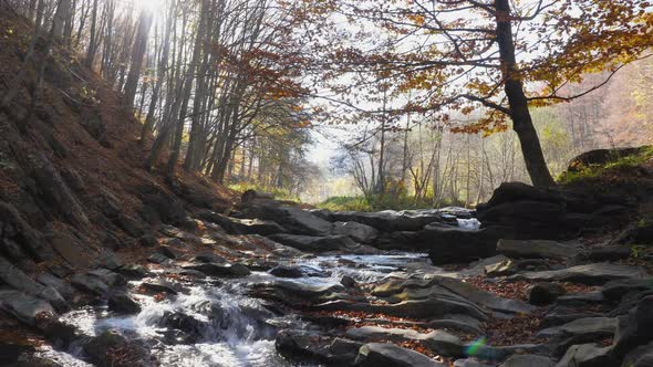 River flowing through the rocks alt