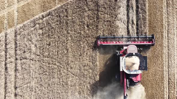 Aerial view of a combine harvester working in the field on a sunny evening. Industrial agriculture.
