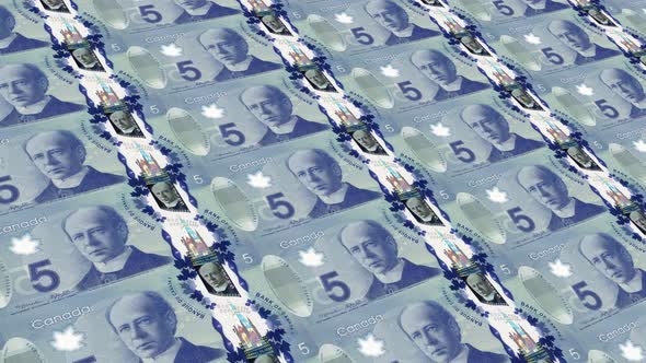 Canada Money / 5 Canadian Dollar 4K alt