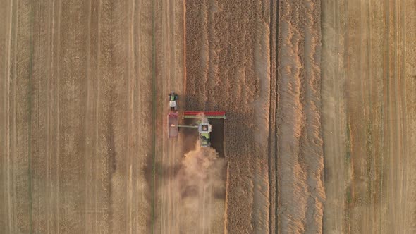Aerial drone shot: combine harvesting wheat pouring harvested wheat into tractor tipper.