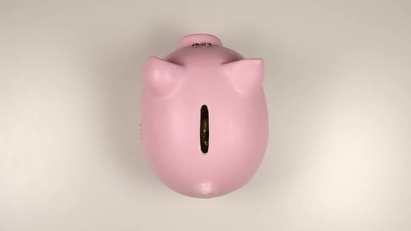 Human hand throws many coins into pink pig money box