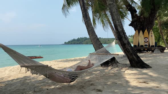Hammock and palm trees on the beach.