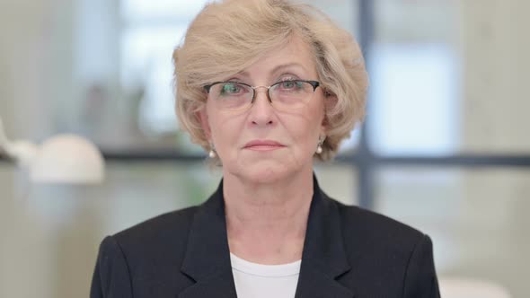 Portrait of Old Businesswoman Looking at the Camera alt