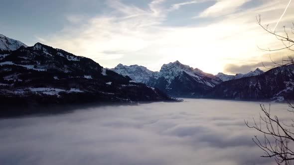 Passing through some trees to show the big beautiful fog scenery in Switzerland. alt