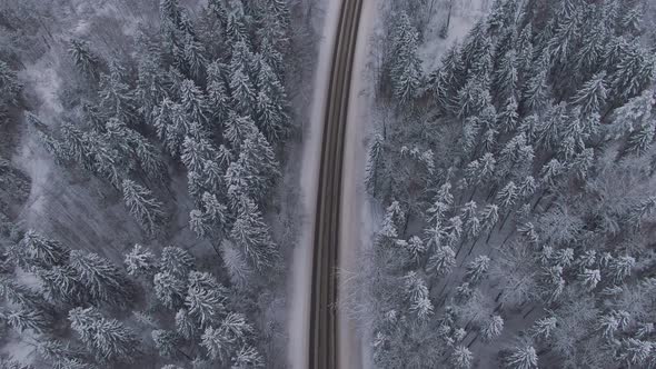 Aerial View of the Road Down Among the Winter Forest with the Camera Raising to the Horizon