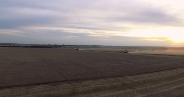 Several Harvesters Harvesting Wheat at Sunset alt