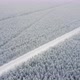 Aerial Top View From Drone Birds Eye View of Winter Landscape and Snowy Ice Road Car Moving on Area - VideoHive Item for Sale