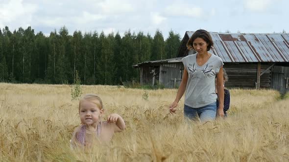 Family Walking On Wheat Fields. Mom With Children Walking On Golden Fields alt