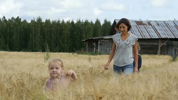 Family Walking On Wheat Fields. Mom With Children Walking On Golden Fields