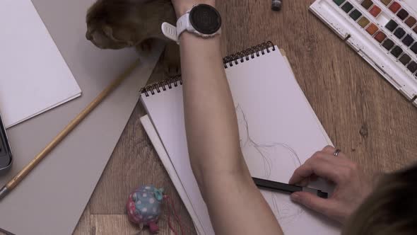 The Woman Artist Makes a Sketch at Home with Her Cat