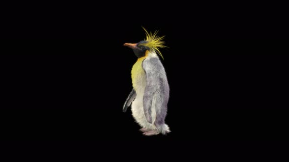 Penguin Dancing 4K alt