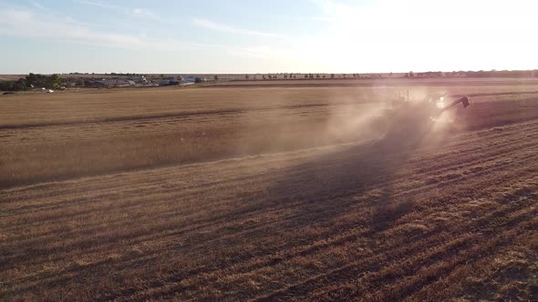 Combine Harvester in the Field Collects Grain and Pours It Into the Tractor Body Video From a Drone