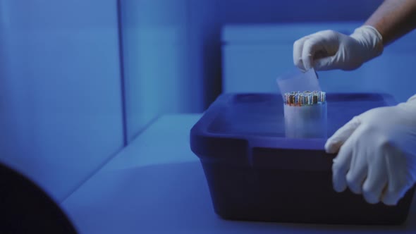 Specialist Embryologist Takes a Capsule With Embryos From the Cryobank