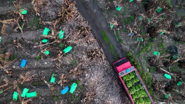 A car with bananas goes to the market aerial view 4 k Alanya Turkey alt