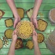 Set of Different Types of Pasta and Noodles. - VideoHive Item for Sale