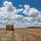 Field With Bales Of Hay And Beautiful Sky Time Lapse - VideoHive Item for Sale