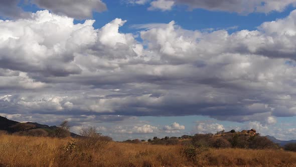 Savannah landscape in Tsavo Park, Mountain and clouds, Kenya, Slow motion alt