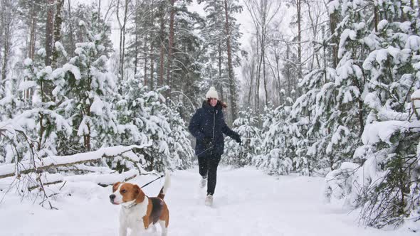 Happy Beagle Dog is Running with His Female Owner During the Walk in the Snowy Winter Forest alt