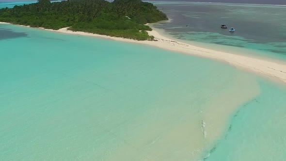 Aerial drone panorama of marine coastline beach wildlife by sea and sand background alt