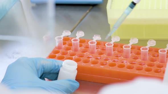 Closeup of the Hands of a PCR Lab Worker in Rubber Gloves with a Dispenser Pouring Samples of Liquid alt