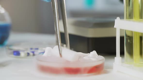 At Laboratory, Smoking Chemistry Glassware, Biochemical Experiment and Science alt