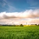 Photo Motion | Wheat Field and moving Clouds - VideoHive Item for Sale