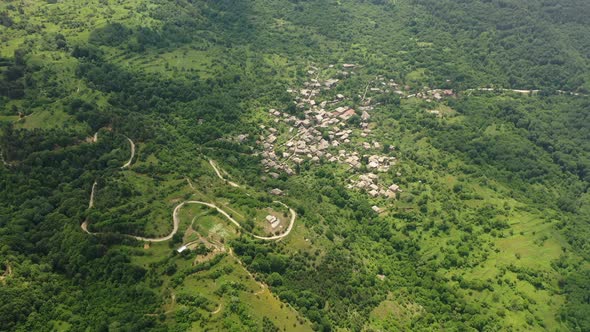 Village in the Forest