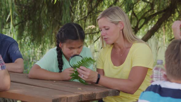 Kids at outdoor school looking at fern with teacher