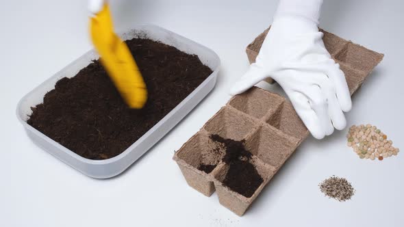 Gloved Hand Fills Seedling or Microgreen Molds with Soil