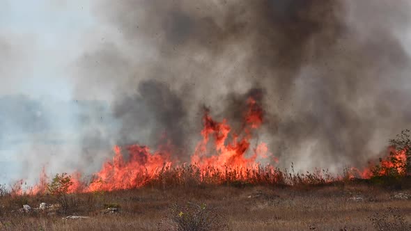 High Fire Burns Dry Grass Reeds Wheat Within Boundaries Small Town alt