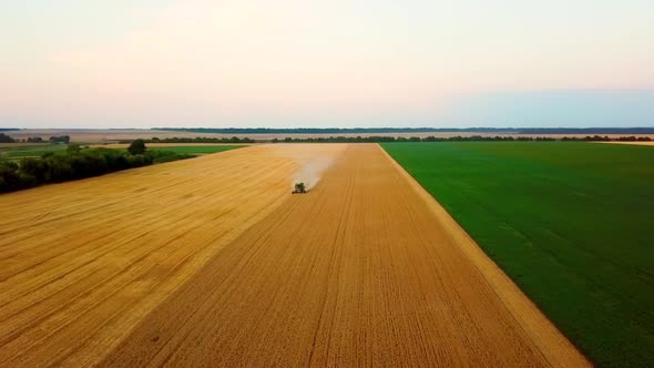 An Aerial View of a Combine Harvester Harvesting Wheat