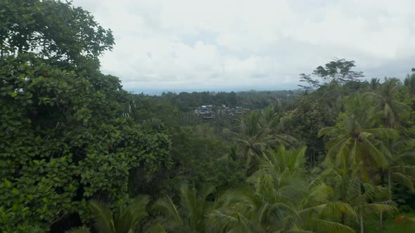 Aerial Reveal of a Small Rural Communities and Irrigated Farm Paddy Fields in the Thick Rainforest alt