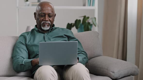 African American Bald Bearded Businessman Teacher Writer Entrepreneur Checking Data Online Use alt