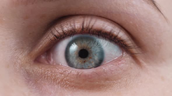 Female Woman Open Eye, Close Up. Caucasian Adult Woman, Isolated alt
