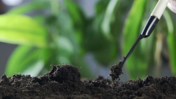 The Gardener Digs the Ground with a Small Shovel alt