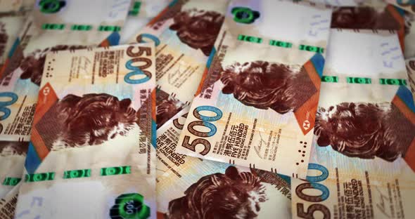 Hong Kong Dollar growing pile of money seamless loop alt