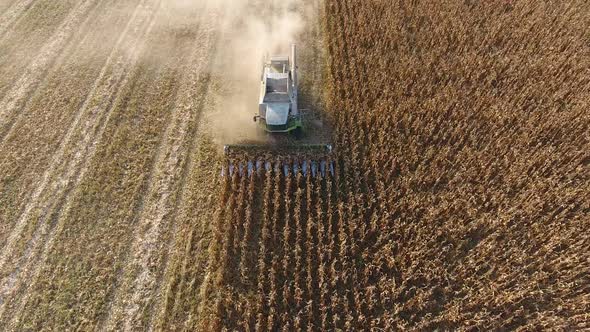Harvester Harvests Corn alt