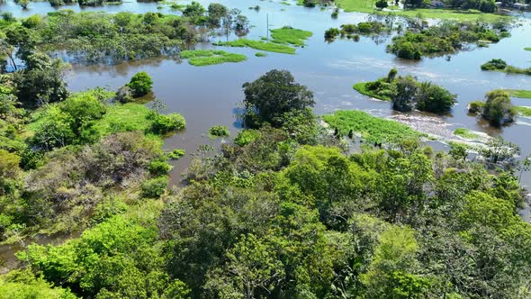 Boat sailing at Amazon River at Amazon Rainforest. Manaus Brazil. alt