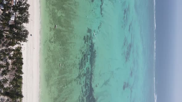 Vertical Video of the Coast of Zanzibar Island Tanzania Slow Motion alt