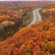 Drone Dolly Out Flying Over Yellow Foliage Dense Deciduous Trees in Autumn - VideoHive Item for Sale