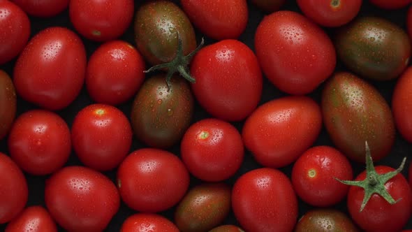 Top View of Fresh Red Tomato with Dewdrop Rotate on Board