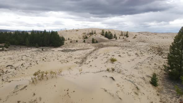 Chara Sands is a Tract Which is a Sandy Massif in the TransBaikal Territory alt